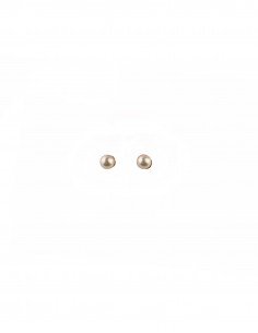 Vintage women's earrings