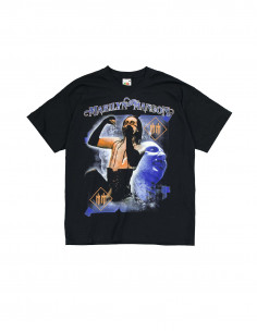 Fruit Of The Loom men's T-shirt